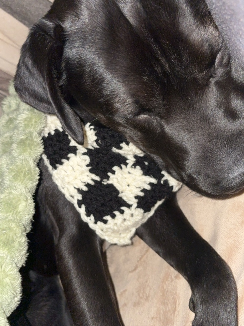 Handmade Dog Bandana - READ DESCRIPTION